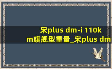 宋plus dm-i 110km旗舰型重量_宋plus dm-i110km旗舰版